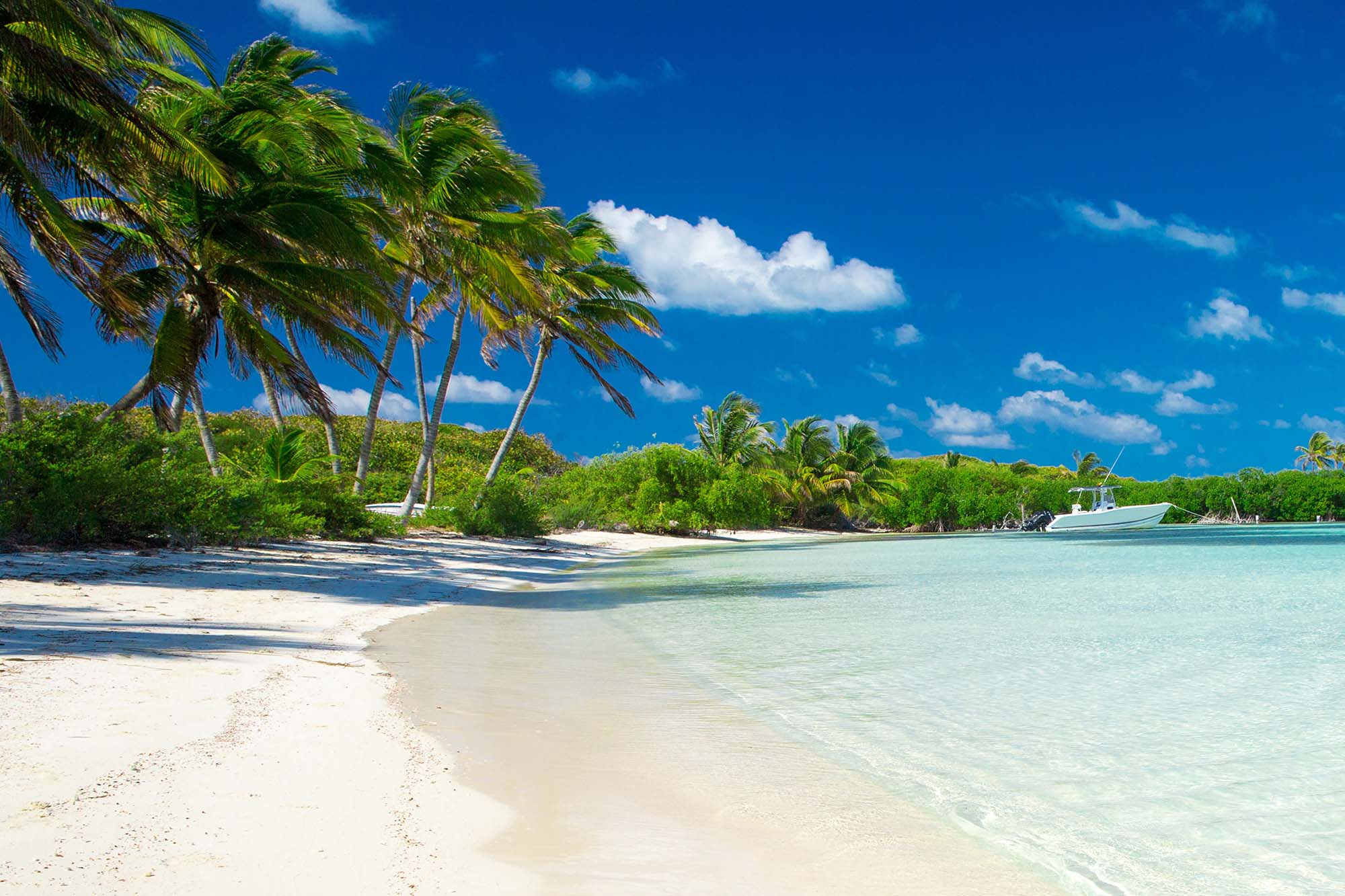 U-NAGI corpration株式会社