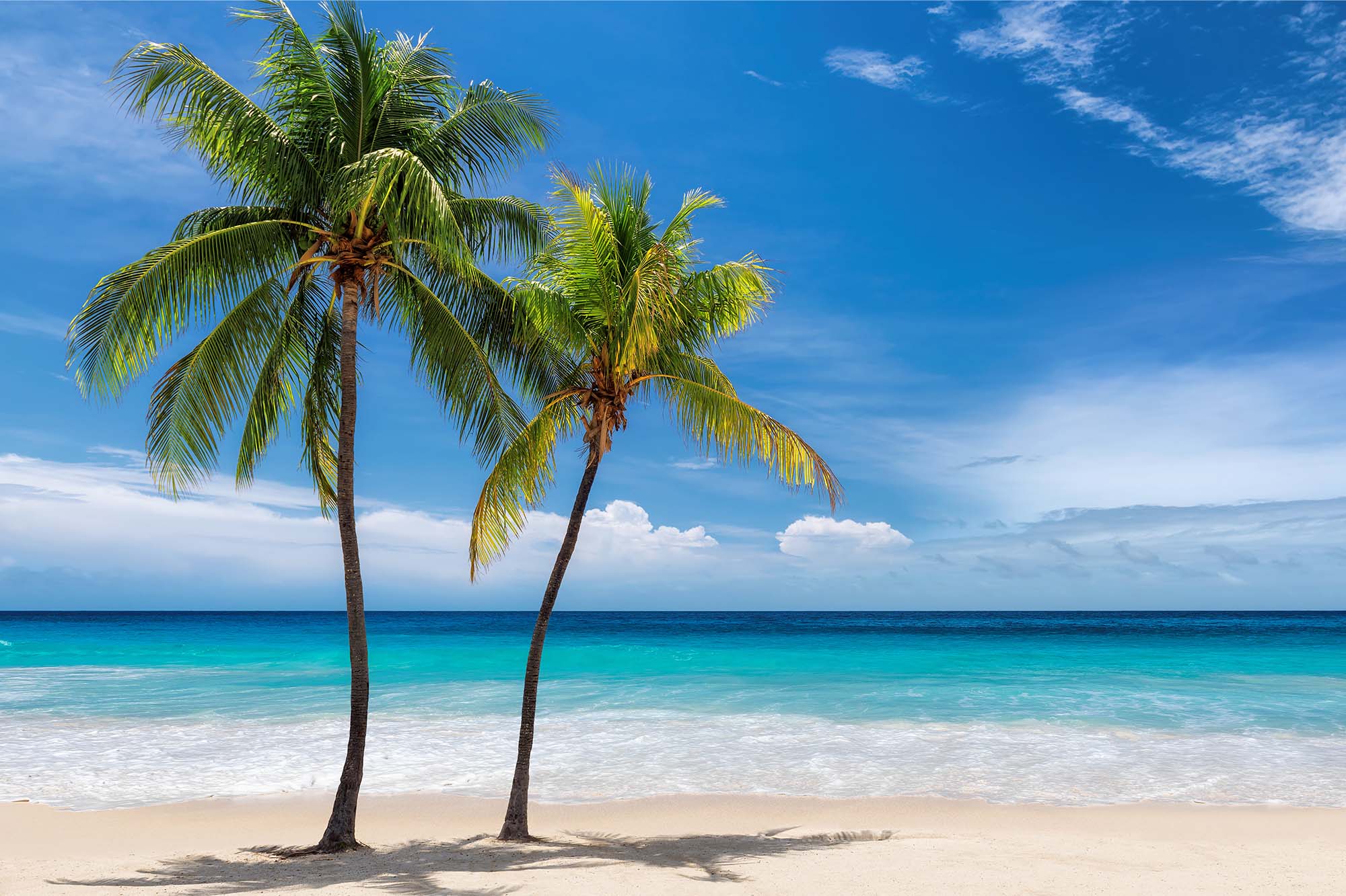 U-NAGI corpration株式会社