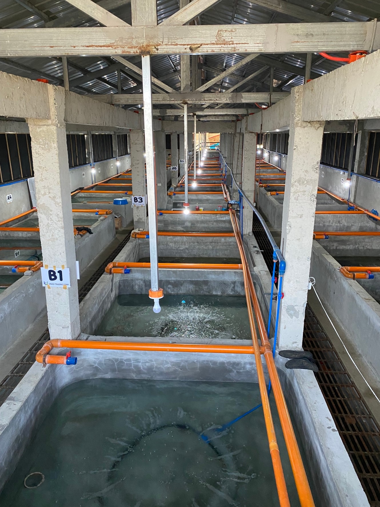 U-NAGI corpration株式会社