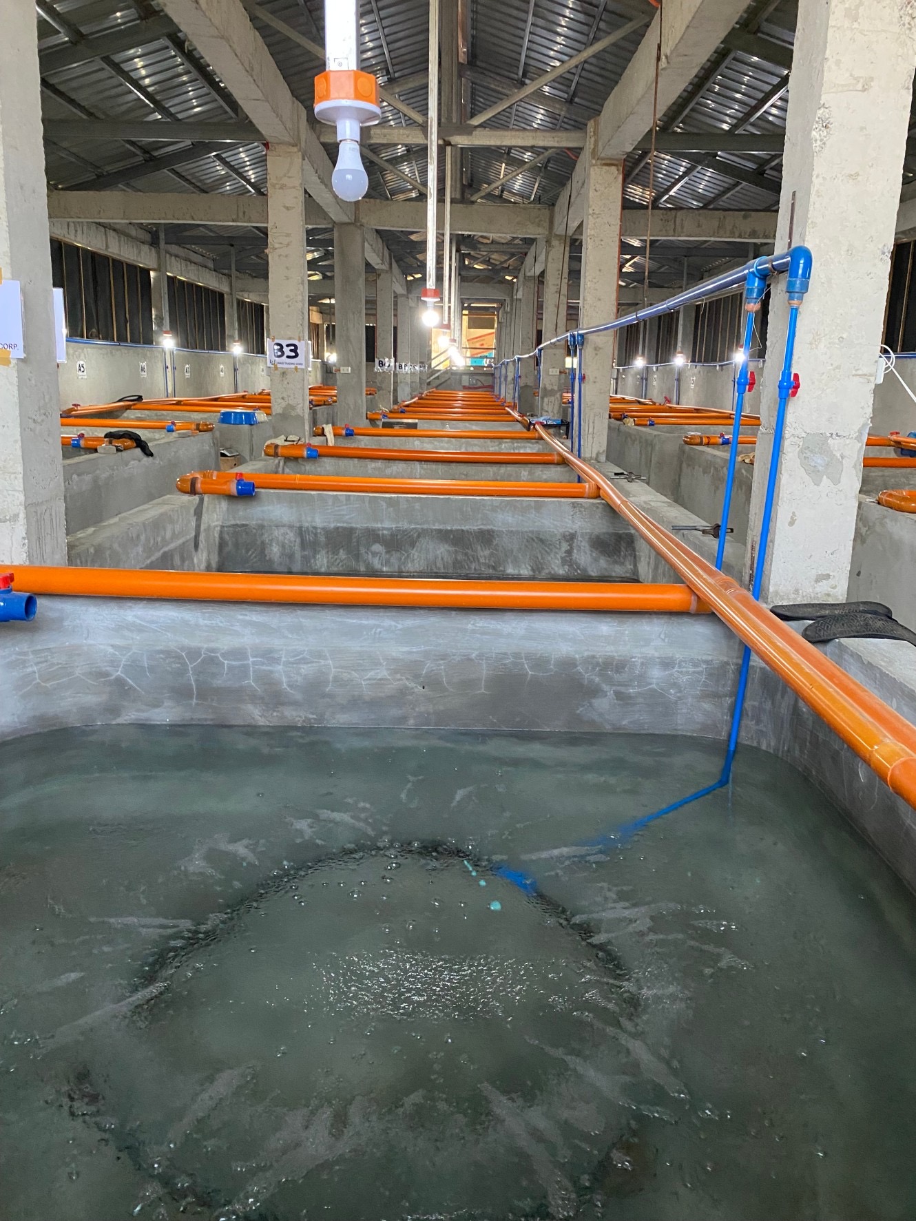 U-NAGI corpration株式会社