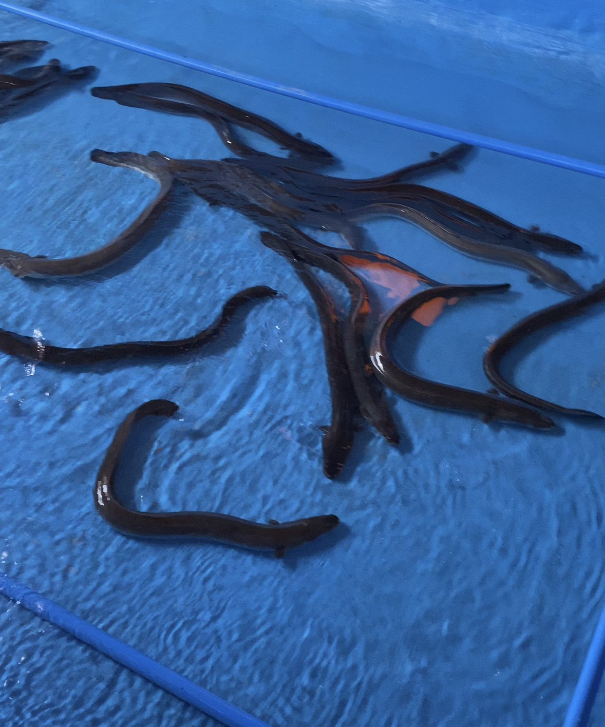 U-NAGI corpration株式会社